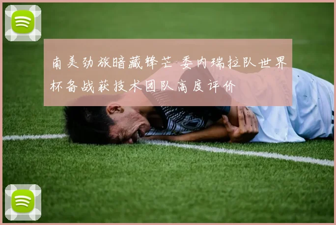 南美劲旅暗藏锋芒 委内瑞拉队世界杯备战获技术团队高度评价