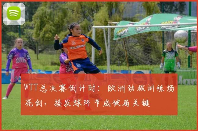 WTT总决赛倒计时:欧洲劲旅训练场亮剑,接发球环节成破局关键