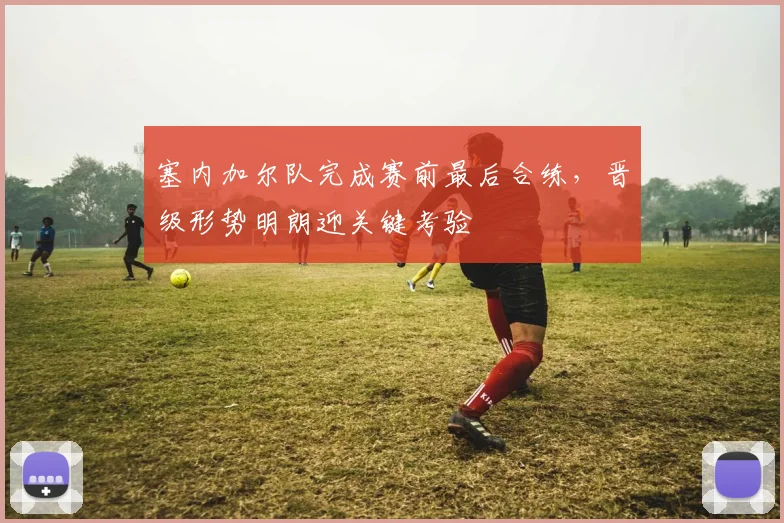 塞内加尔队完成赛前最后合练，晋级形势明朗迎关键考验