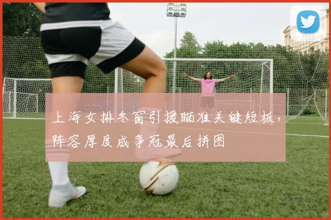 上海女排冬窗引援瞄准关键短板,阵容厚度成争冠最后拼图