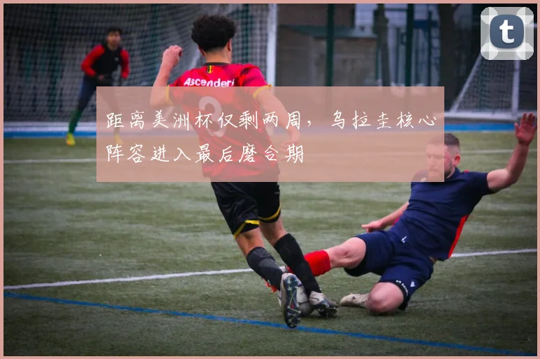 距离美洲杯仅剩两周,乌拉圭核心阵容进入最后磨合期