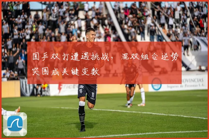 国乒双打遭遇挑战，混双组合逆势突围成关键变数 - 澳客网