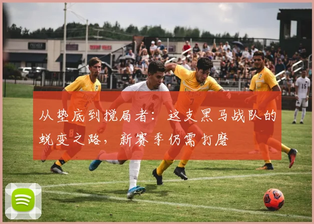 从垫底到搅局者:这支黑马战队的蜕变之路,新赛季仍需打磨