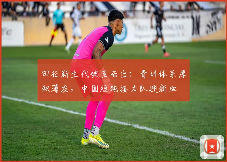 田径新生代破茧而出:青训体系厚积薄发,中国短跑接力队迎新血